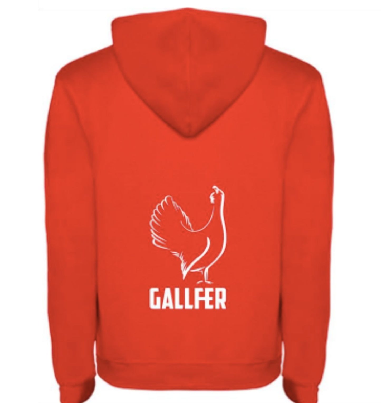 Foto detalle sudadera Gall Fer Sports Gisca